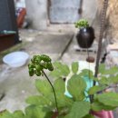 의료법인 제중원 이미지