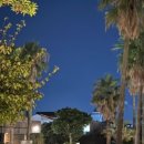 584-16 배불뚝이 해장국앞 | (내돈내산) 제주도동쪽코스, 3박4일 여유로운 힐링 여행 추천! (제주가볼만한곳)