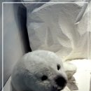 제주테디베어뮤지엄 이미지