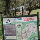 강원도 평창 가볼만한 곳 아기랑 목장 체험 하늘마루염소목장