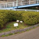 삼계원 | 요코하마여행 산케이엔 (三溪園 삼계원)의 특별한 관리