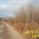 용진1농장 네이버블로그