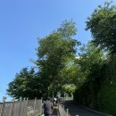 엔트로피발전소 | 2024 부산교통공사 &amp; 한국가스기술공사 필기 시험 후기