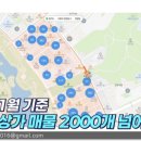 그랜드백화점(주) 일산점 이미지