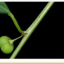 여백이있는날 이미지