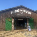 하이드온부쉬 | 🌿 하이드 온 부쉬(Hide on Bush) 카페 방문 후기