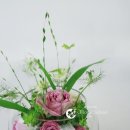 음악놀이지도사2급,1급 자격양성과정 | [공지] [제이플로스] 감성원예 지도사 양성과정 안내