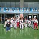 MTA 우리 태권도 | 🏆 금메달 13개?! 진해 MTA, 창원시 태권도 협회장배 대회 완전 정복🔥