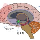 선암호수태권도 이미지