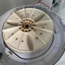 아기사랑 이미지