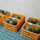 고령군 농업기술센터 이미지