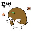 고수경샤브칼국수 이미지