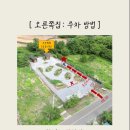 임미임미 이미지