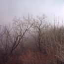 진다리로 이미지