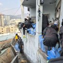 부산진구-12 이미지