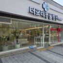 더 포레 동물병원 네이버블로그