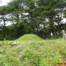 진주 류시 부부묘 석물 | 진주 류시 부부묘 석물(류시묘) - 경남 진주[22]