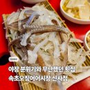 어시장 | 무난했던 신사역 횟집, 속초오징어어시장 후기