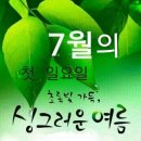문화공연단(라인댄스) 이미지