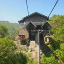 팔공산힐링 이미지