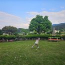 학하민박 이미지