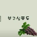 수준수학전문학원
