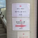제주 애월 곽지해수욕장 카페, 바다가 한눈에 보이는 할리스커피 후기