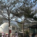 까망베르2호점 이미지