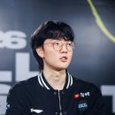 비멜코리아 게임포커스