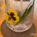 [日常] 홍대입구역 근처 플라워 카페 플로라운지 홍대점, 꽃도 예쁘고 대화하기 좋은 예쁜 카페