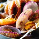 청춘바다 | 오이도 조개구이 맛집 청춘조개본점 가족 나들이 바다뷰 힐링 완벽 후기