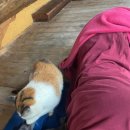 양평불한증막 이미지