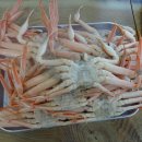 (주)영덕버스 이미지