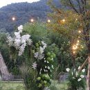 공간꽃조경 | 대구 야외웨딩 플라워디렉팅 맞춤형 공간 카페예식 꽃장식 후기