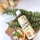 &lt;우영이앤티&gt; 몸에 좋고 맛도 좋은 우도땅콩새싹차