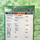 렛츠고김밥