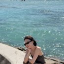 윈터 카카오 검색결과