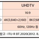 포케이 이미지