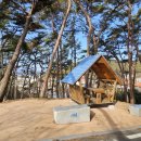 일심사(제83호)