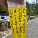 풍덕동사무소 화장실(2층) | 전북 성수산 왕의 숲 휴양림 카라반 6호실 추억에 남을 숙박 후기(이용시설 총정리)