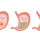 바디퍼포먼스 짐 이미지