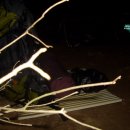 사리농장 이미지