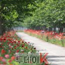 나루마을 이미지