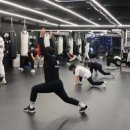 팀 해명 짐 이미지