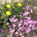 별아띠천문대 이미지