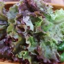 정겨운갈비 이미지