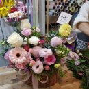 브니엘플라워 이미지