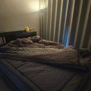 부강세탁 | 침대용 전기매트 전자파없는 부강의료기 퀸사이즈 탄소 전기요