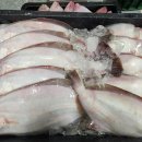 신안홍어 이미지