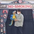 을숙도초등학교 이미지